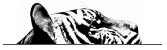 Tiger for Weapons and